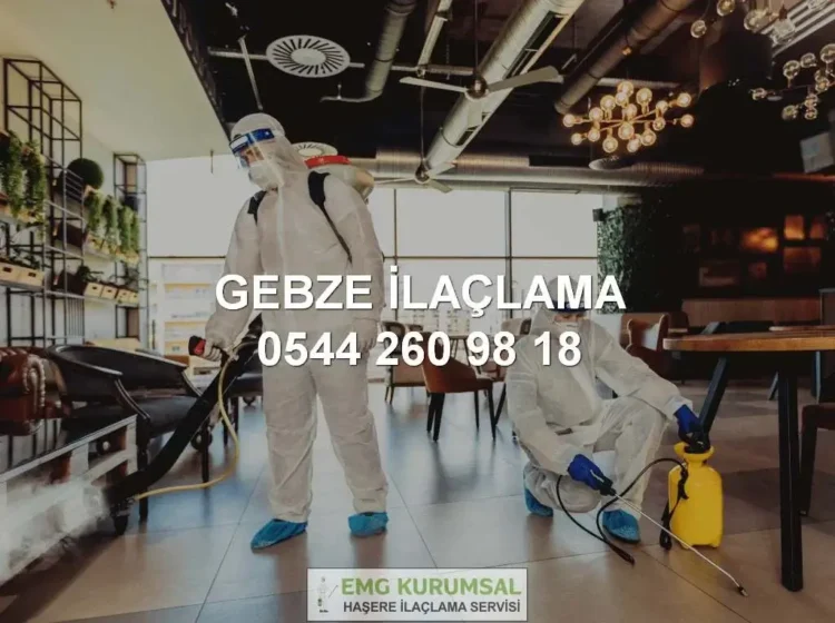 Gebze ilaçlama