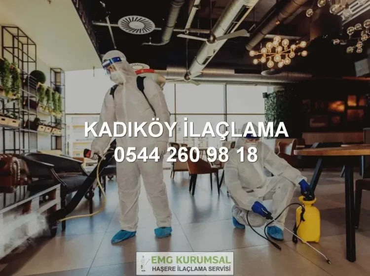 Kadıköy İlaçlama