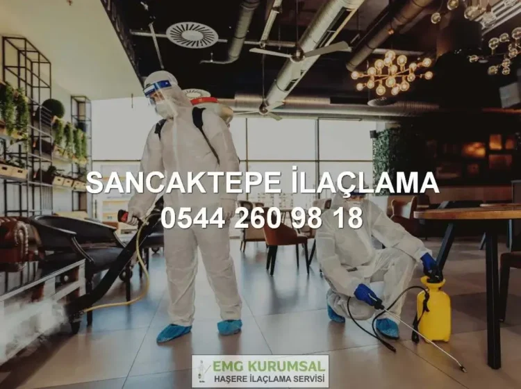 Sancaktepe ilaçlama