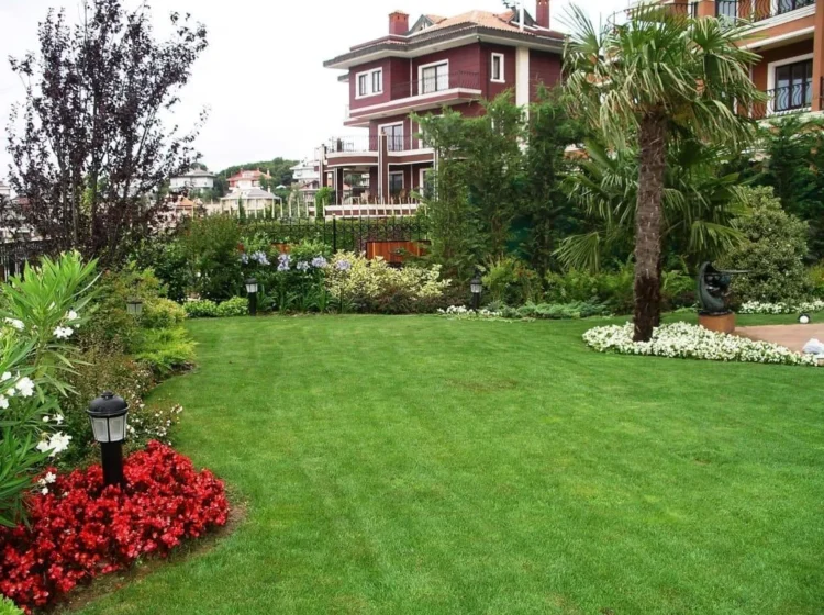 Villa ilaçlama
